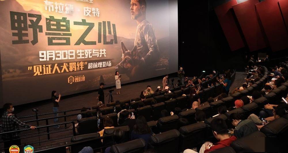 布拉德·皮特新片《野兽之心》举行超前观影活动 人犬羁绊感动观众封面图