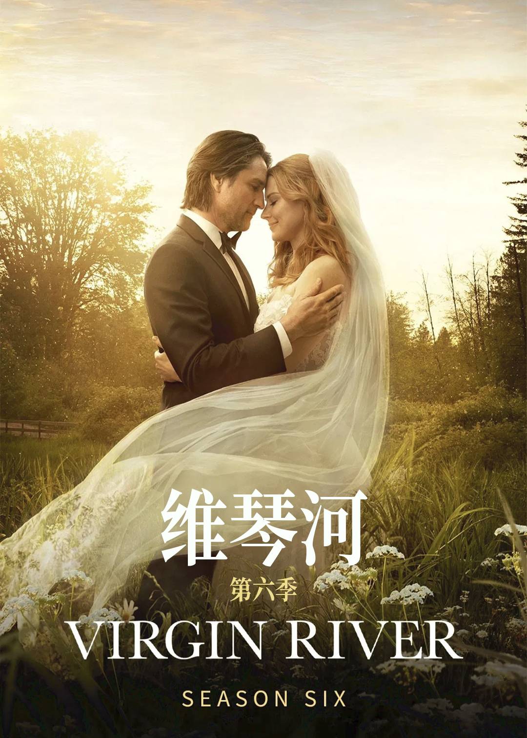 维琴河第六季封面图