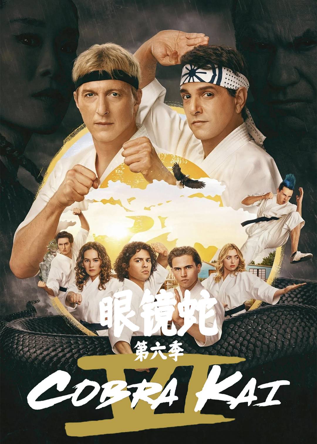 眼镜蛇第六季封面图