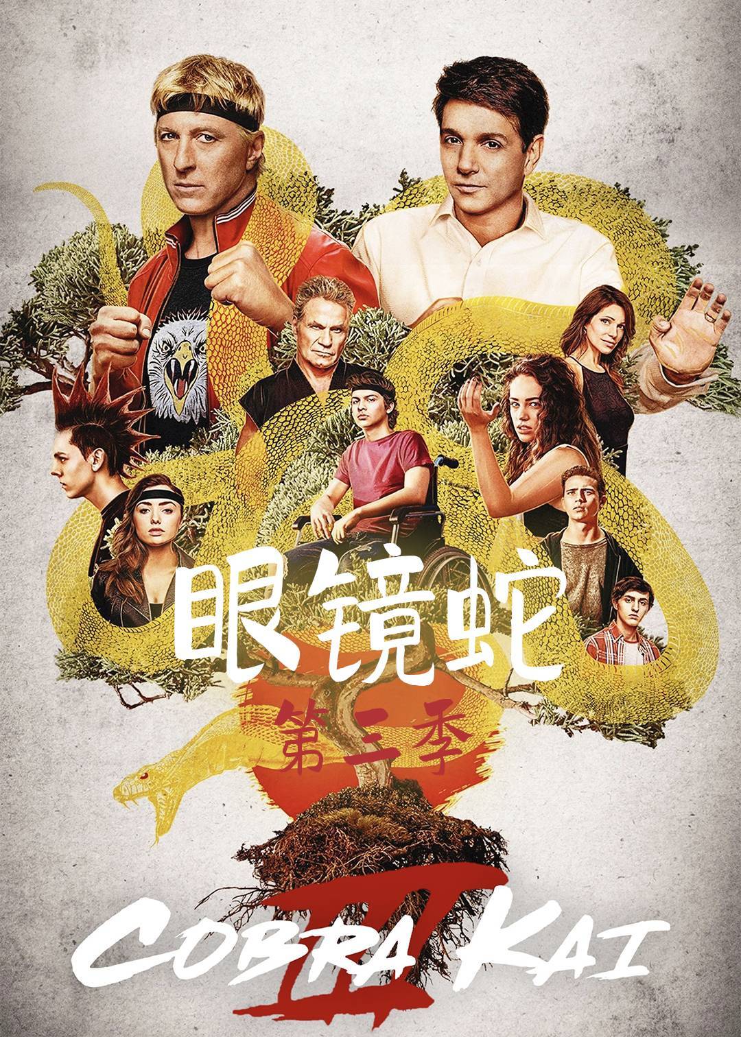 眼镜蛇第三季封面图