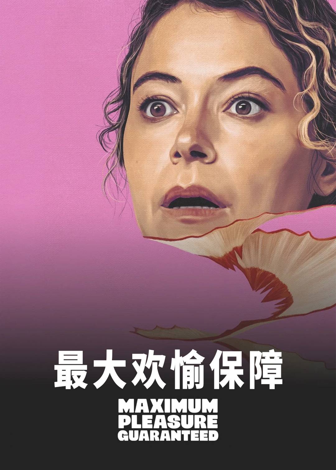 最大欢愉保障封面图