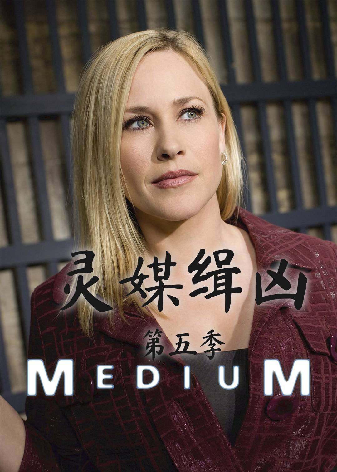 灵媒缉凶第五季封面图