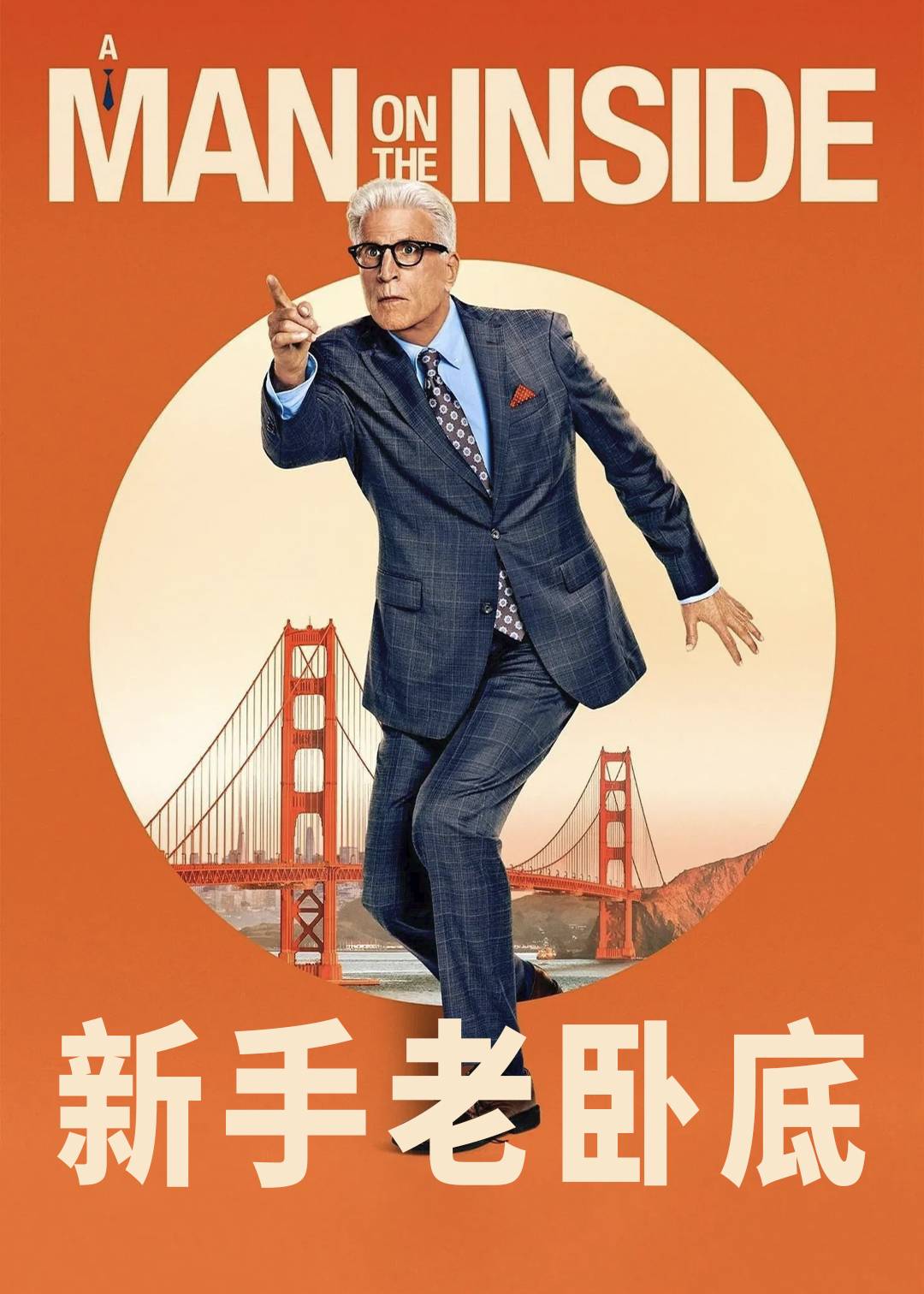 新手老卧底封面图