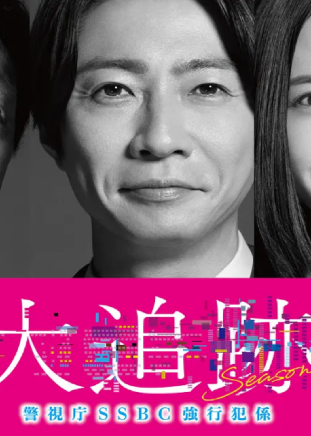 大追踪〜警视厅SSBC强行犯系〜第二季封面图