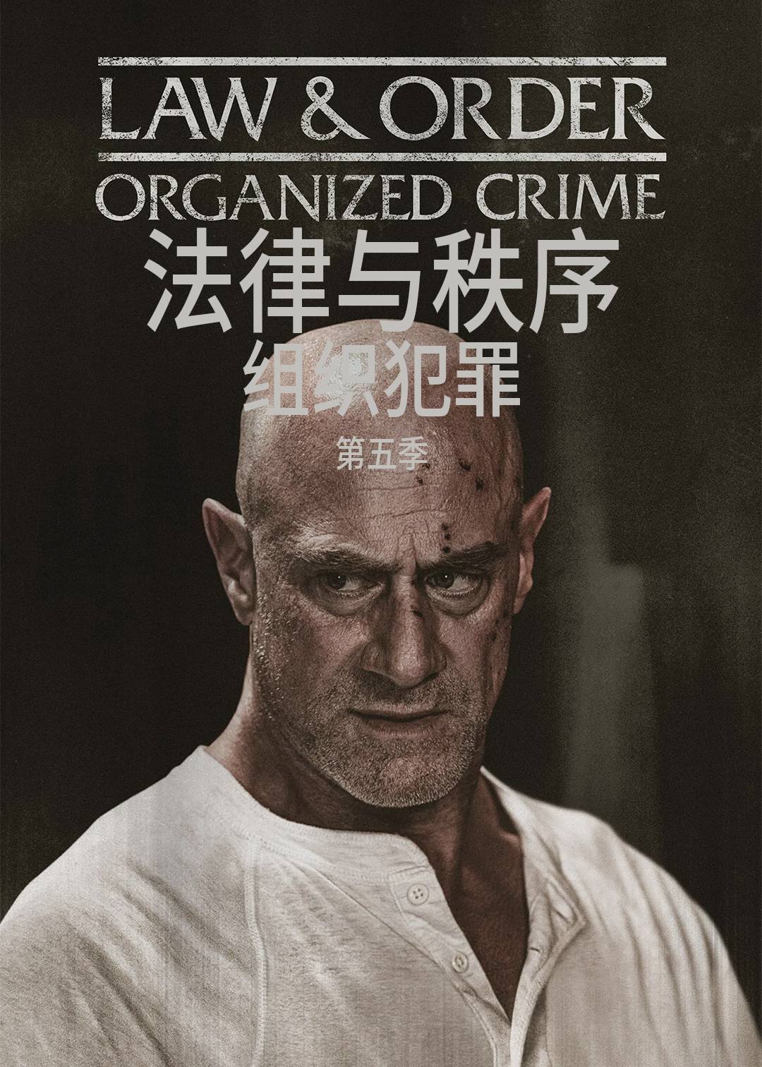 法律与秩序：组织犯罪第五季封面图