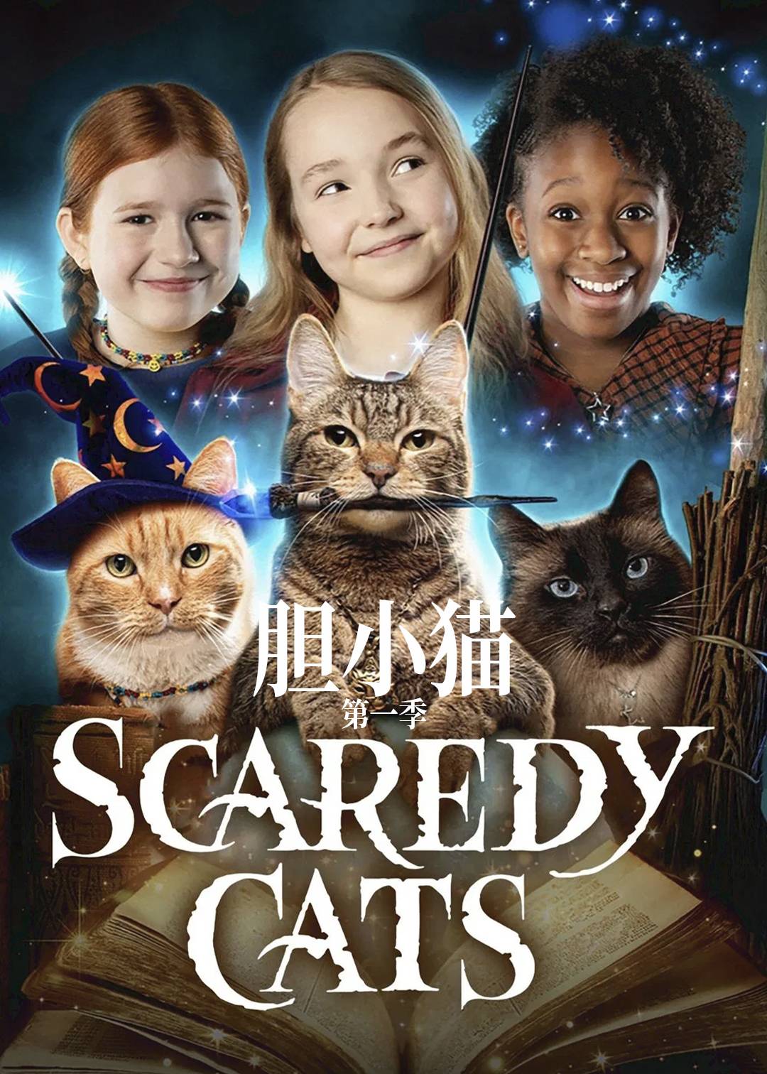 胆小猫第一季封面图