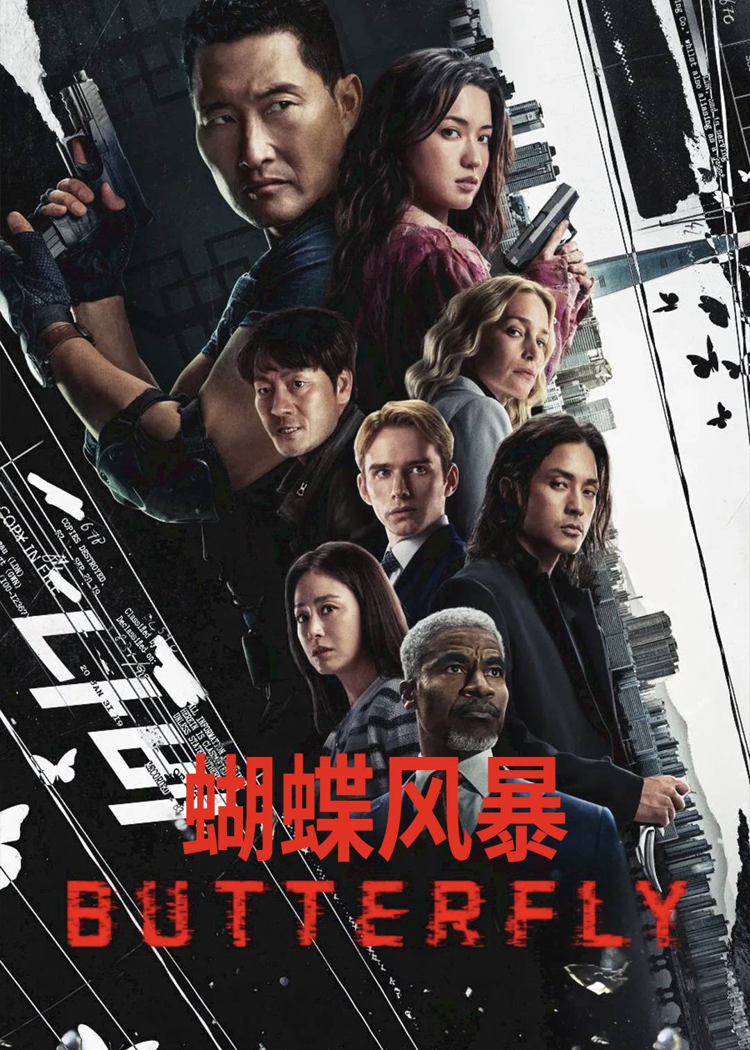 蝴蝶风暴封面图