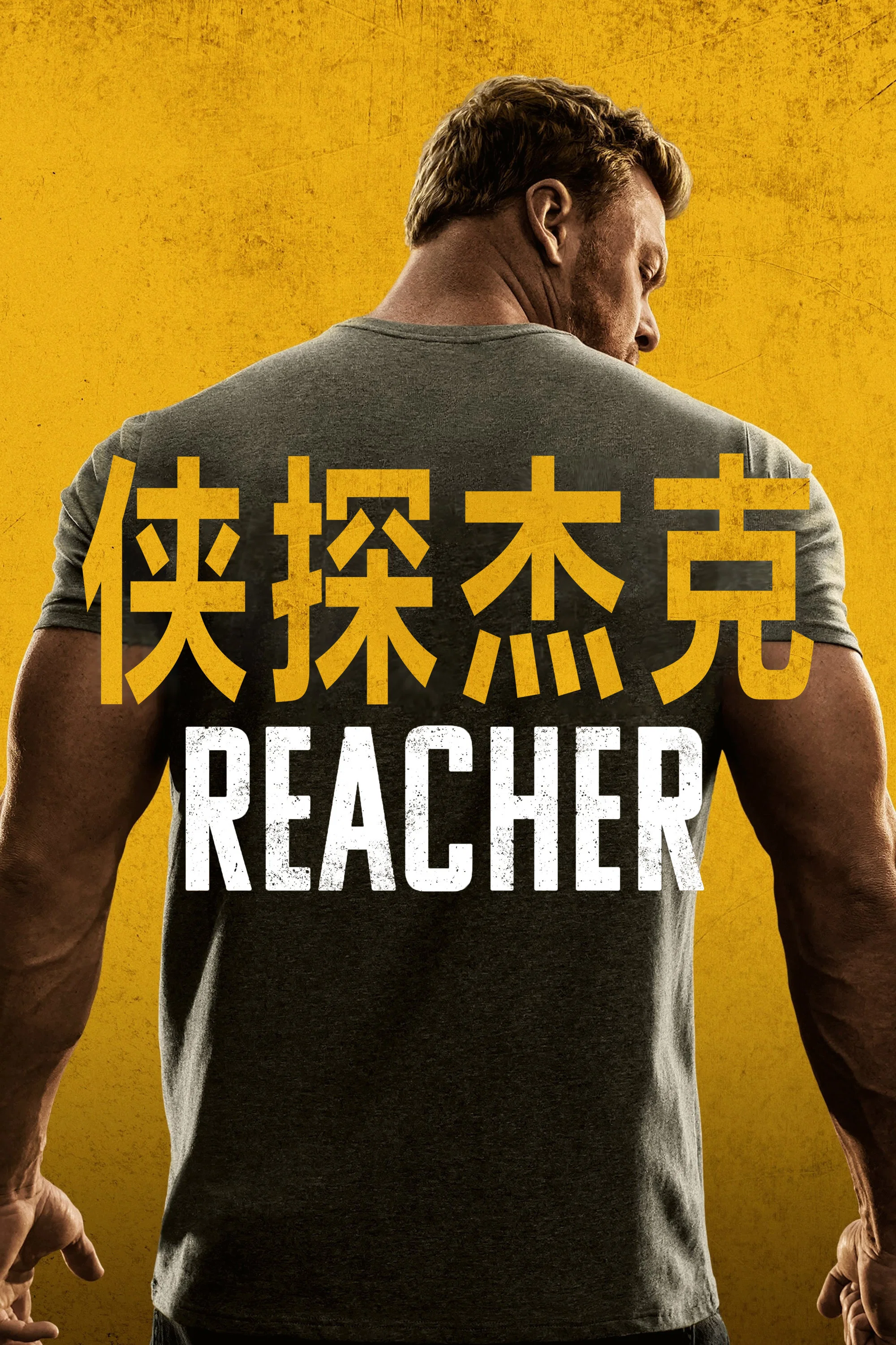 侠探杰克第四季封面图