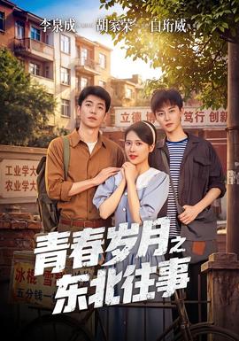 青春岁月之东北往事封面图