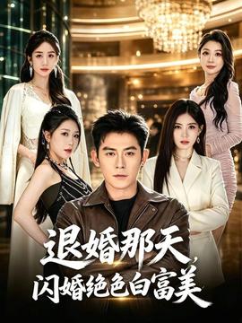 退婚那天，闪婚绝色白富美封面图
