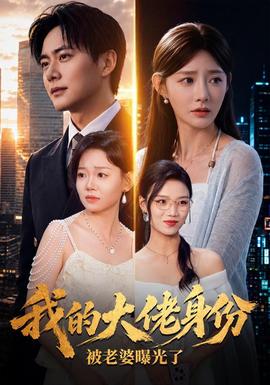 我的大佬身份被老婆曝光了封面图