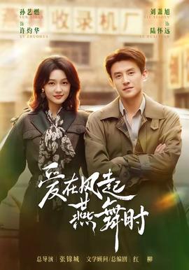 爱在风起燕舞时封面图