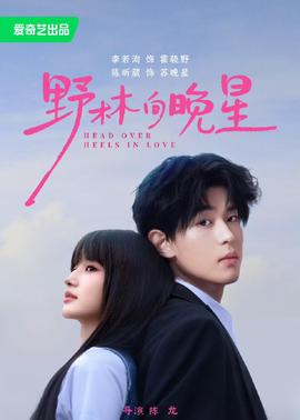 野林向晚星封面图