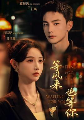 等风来也等你封面图