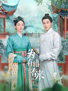为有暗香来封面图