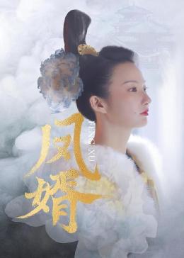 凤婿封面图
