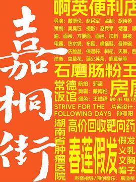 嘉桐街封面图