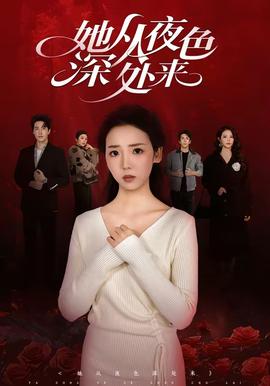 她从夜色深处来封面图