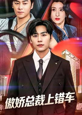 傲娇总裁上错车封面图