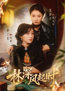 林深风起时封面图