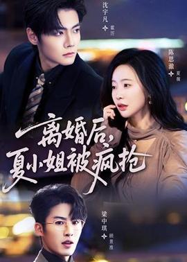 离婚后，夏小姐被疯抢封面图