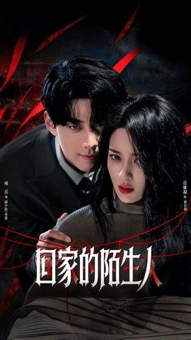 回家的陌生人封面图