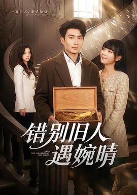 错别旧人遇婉晴封面图