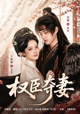 权臣夺妻封面图