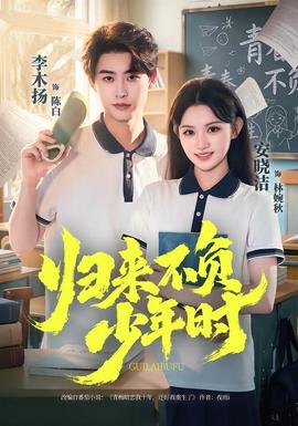 归来不负少年时封面图