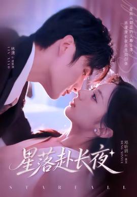 星落赴长夜封面图