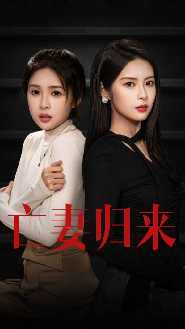 亡妻归来封面图