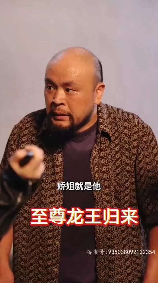 至尊龙王归来封面图
