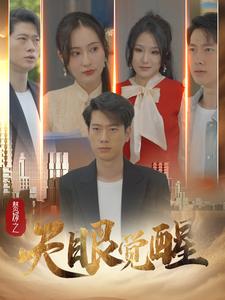 赘婿之天眼觉醒封面图