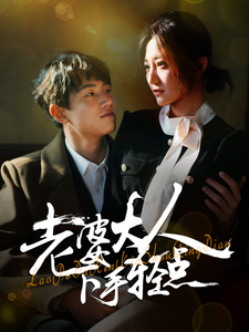 老婆大人下手轻点封面图