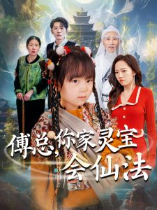 傅总，你家灵宝会仙法封面图
