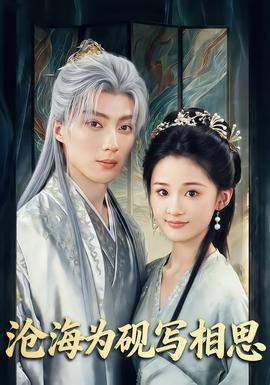 沧海为砚写相思封面图