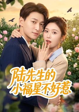 陆先生的小福星不好惹封面图