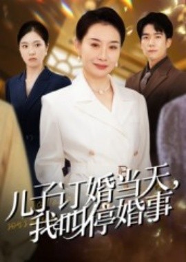 儿子订婚当天，我叫停婚事封面图