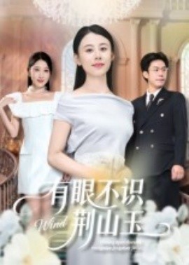 有眼不识荆山玉封面图