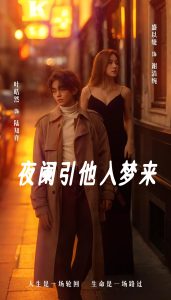 夜阑引他入梦来封面图