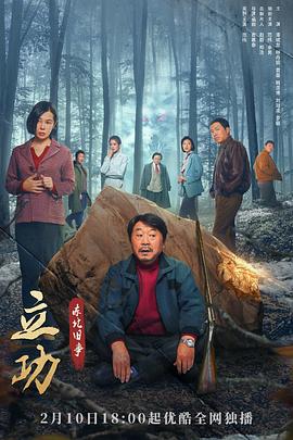 立功东北旧事封面图