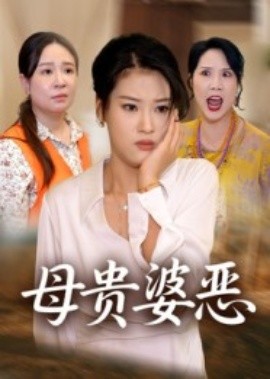 母贵婆恶封面图