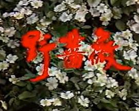 野蔷薇封面图