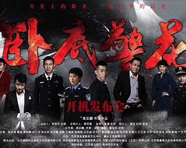 卧底警花封面图