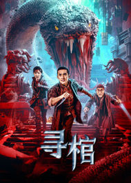 寻棺封面图