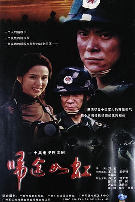 归途如虹封面图