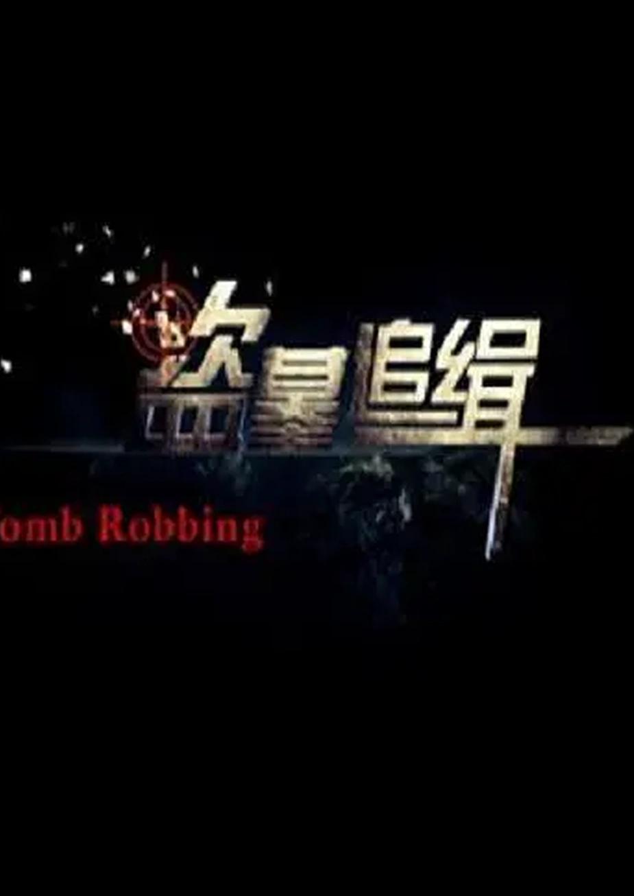 盗墓追缉封面图