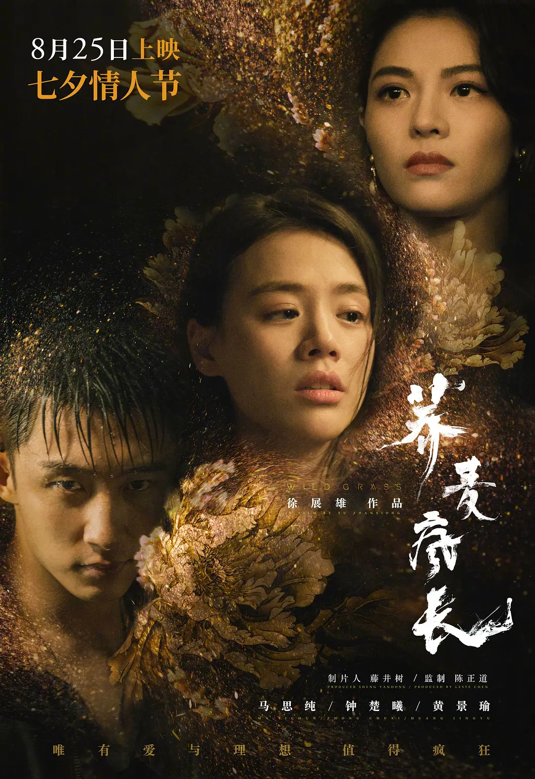 荞麦疯长封面图
