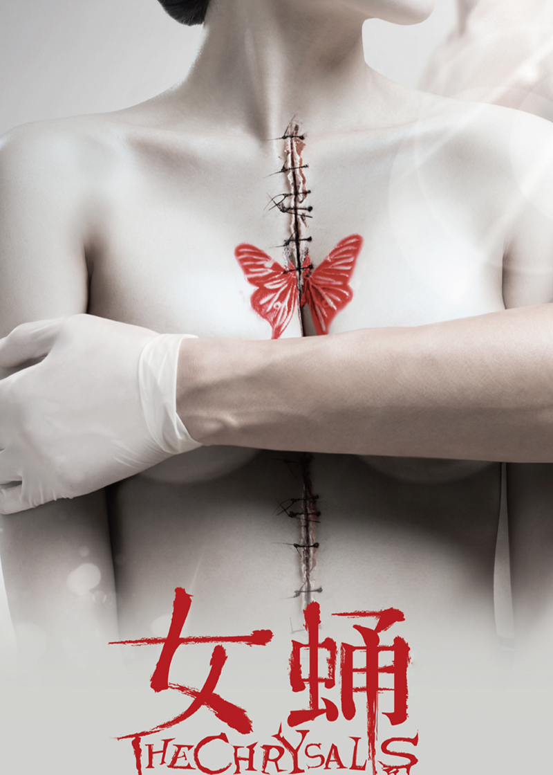 女蛹之人皮嫁衣封面图