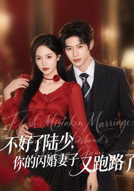 不好了陆少，你的闪婚妻子又跑路了封面图